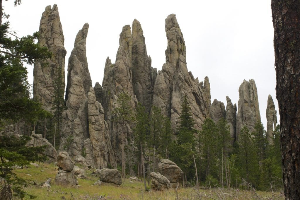 Shot of rock formations at Needles Highway in South Dakota